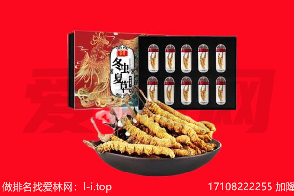 衡水桃城区回收虫草.jpg